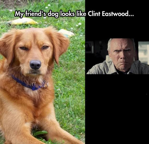 looks like clint eastwood