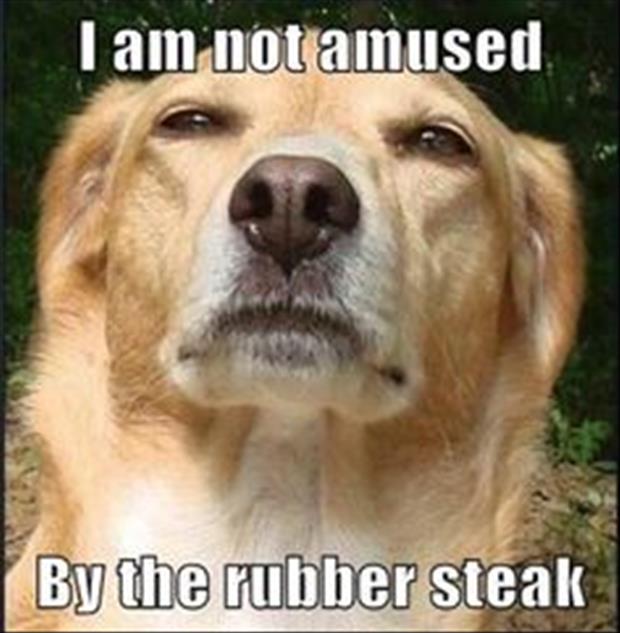 rubber steak