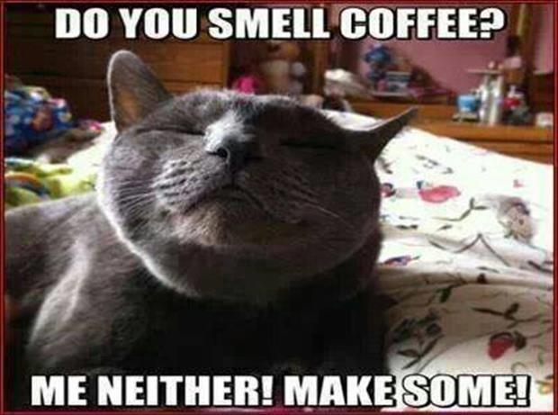 smell coffee