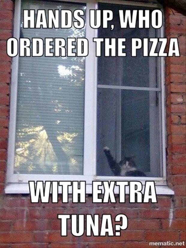 who ordered pizza