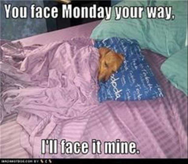 you face Monday your way, I'll face it mine