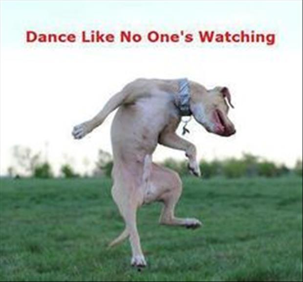 you should dance like no one is watching