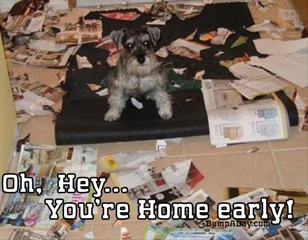 you're home early (3)