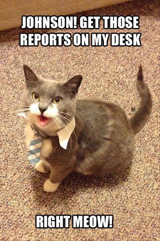 Attack Of The Funny Animals - 34 Pics