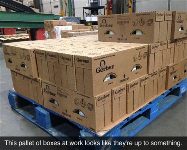 funny boxes
