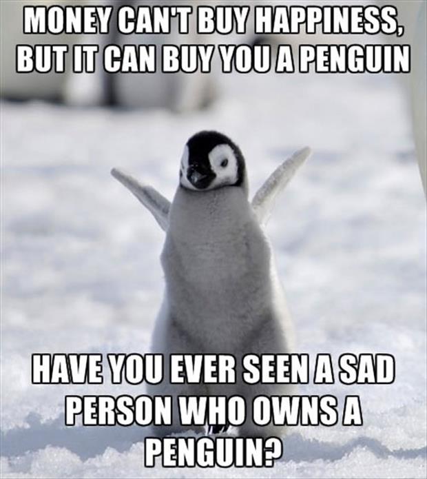 how much is a penguin cost