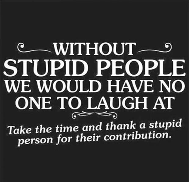 thank a stupid person