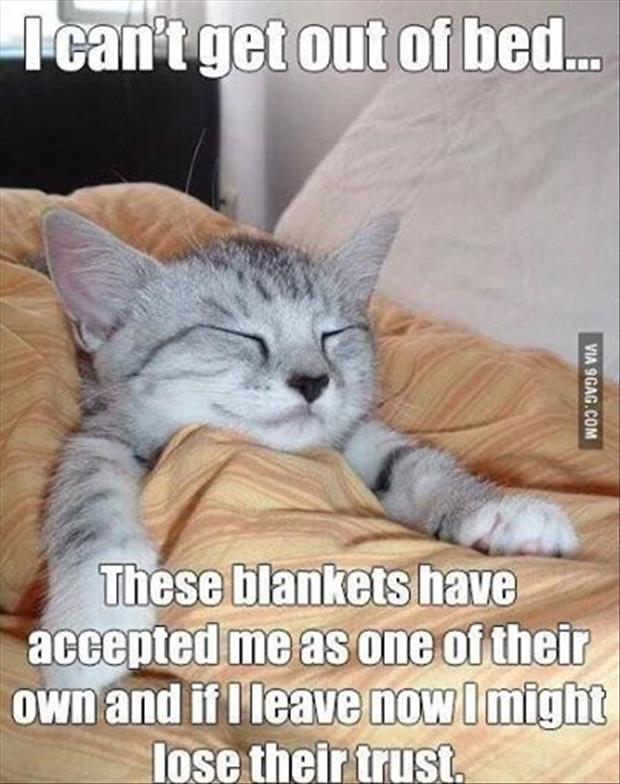 the blankets