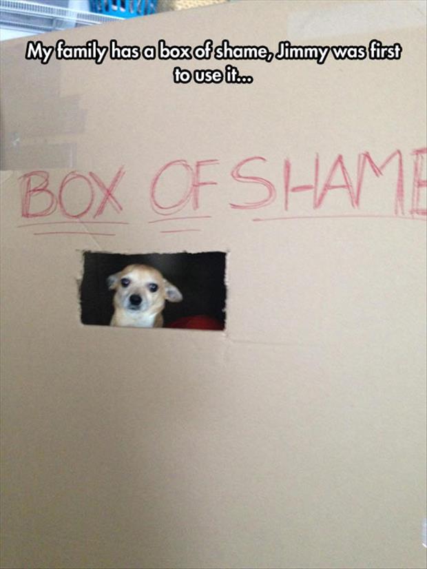 the box of shame