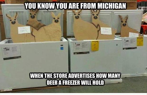 the deer in a freezer