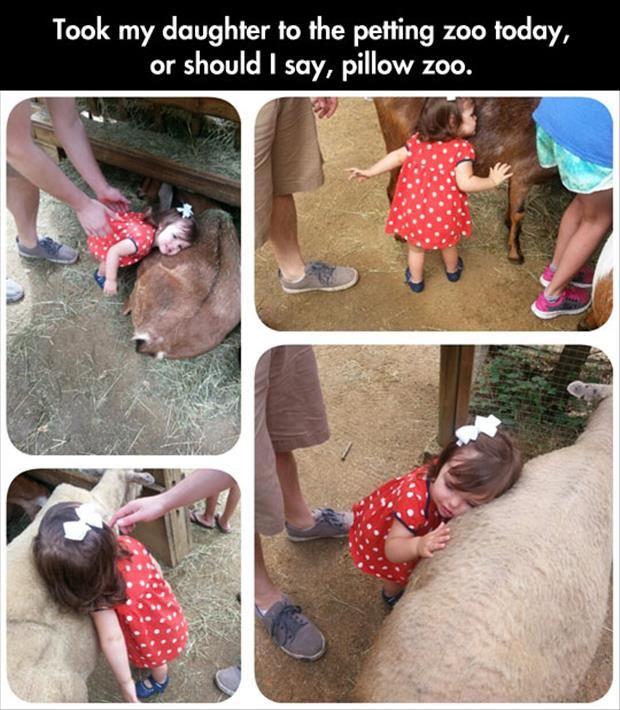 the pillow zoo