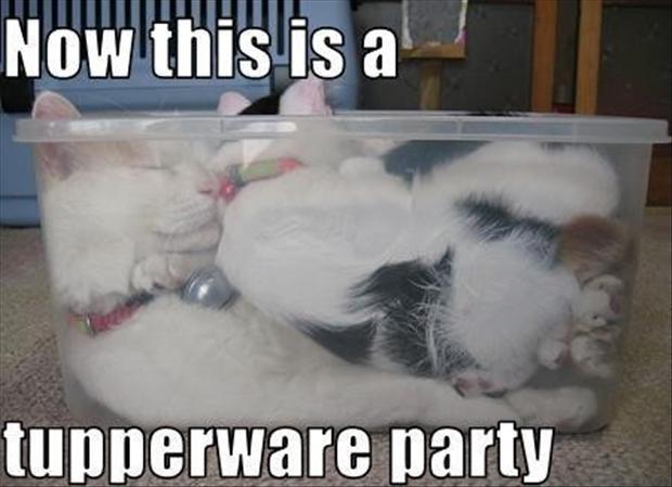 tupperware party