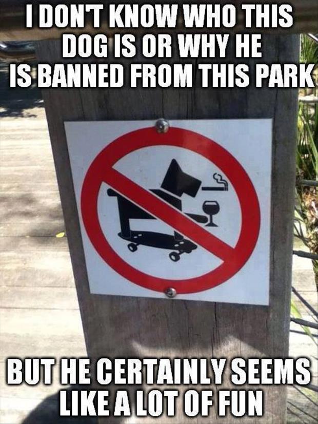 why is this dog banned from the park