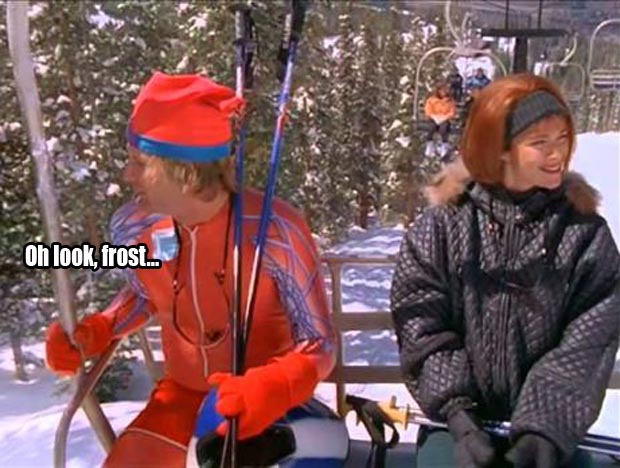 dumb and dumber quotes (18)