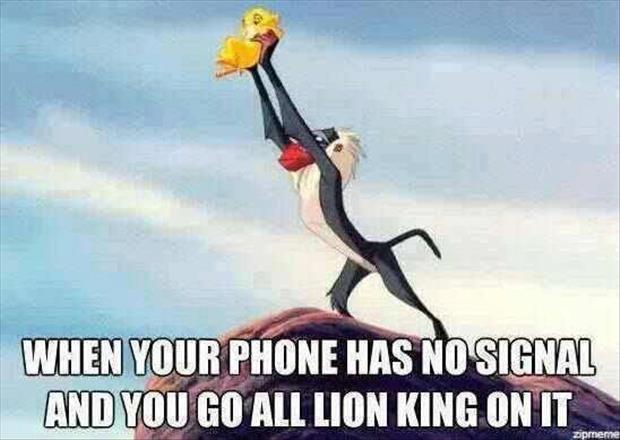 phone has no signal