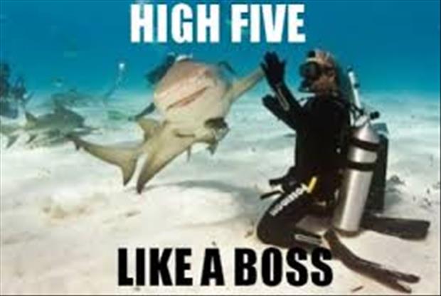 it's friday high five everything (8)