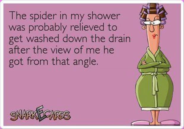 a spider in the shower