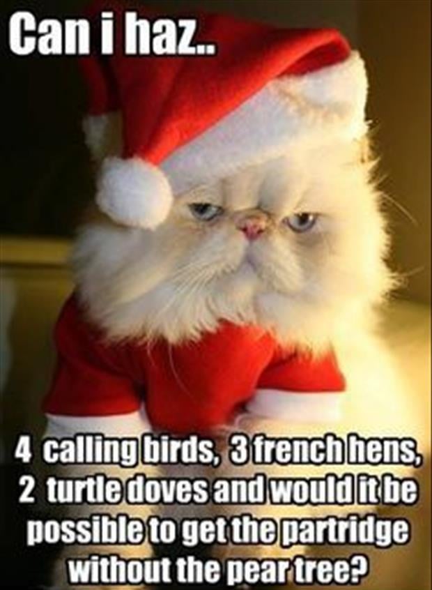 funny christmas pictures (13)