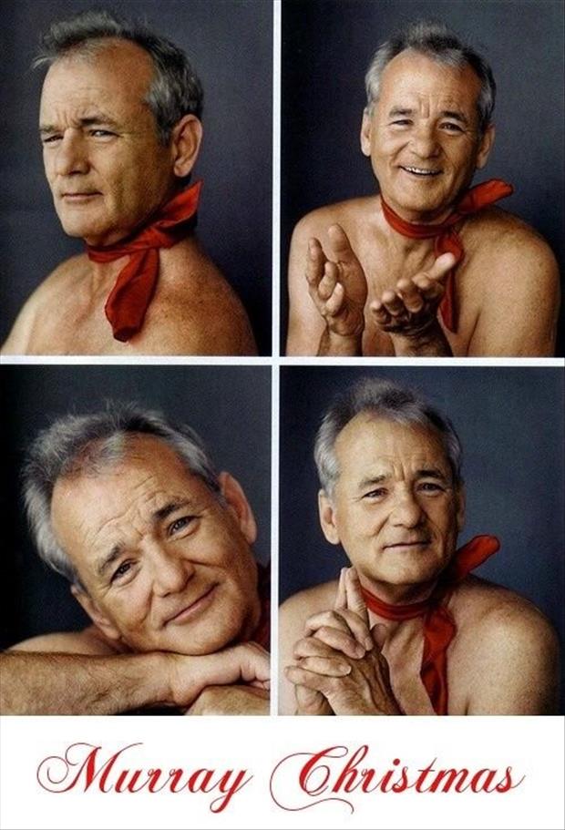 funny christmas pictures (4)