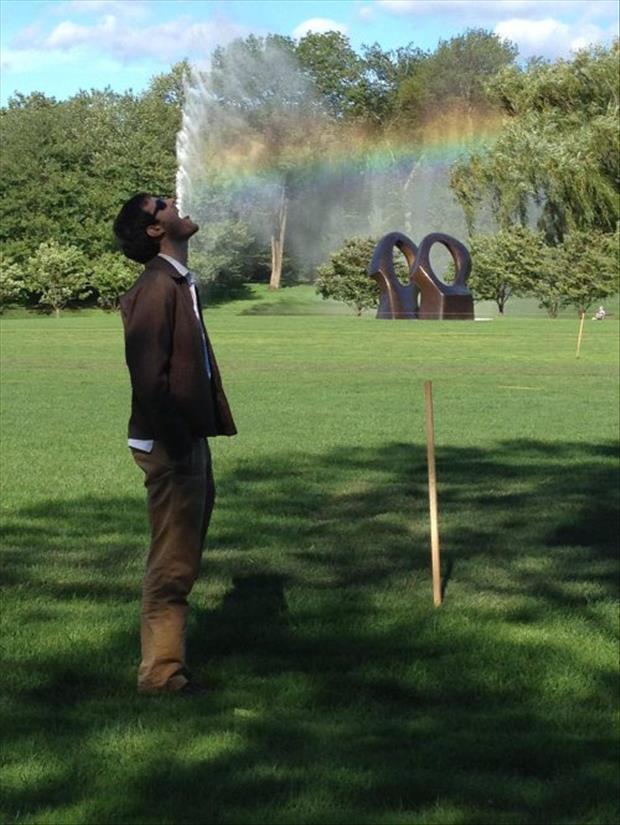 funny pictures of rainbows and guys, dumpaday (6)