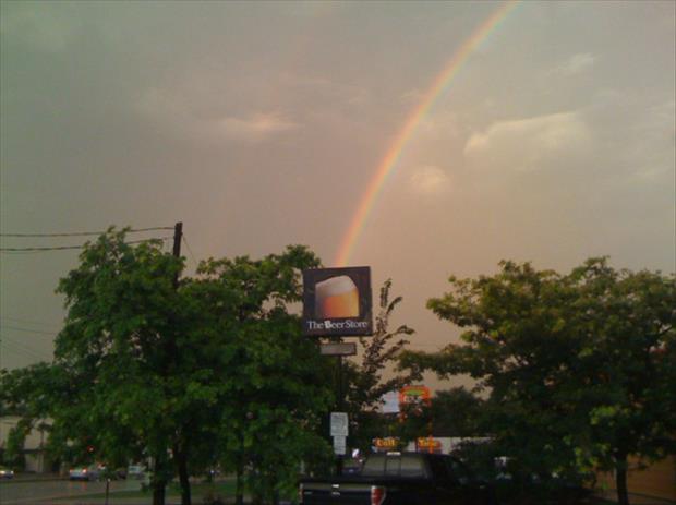 funny rainbows (9)