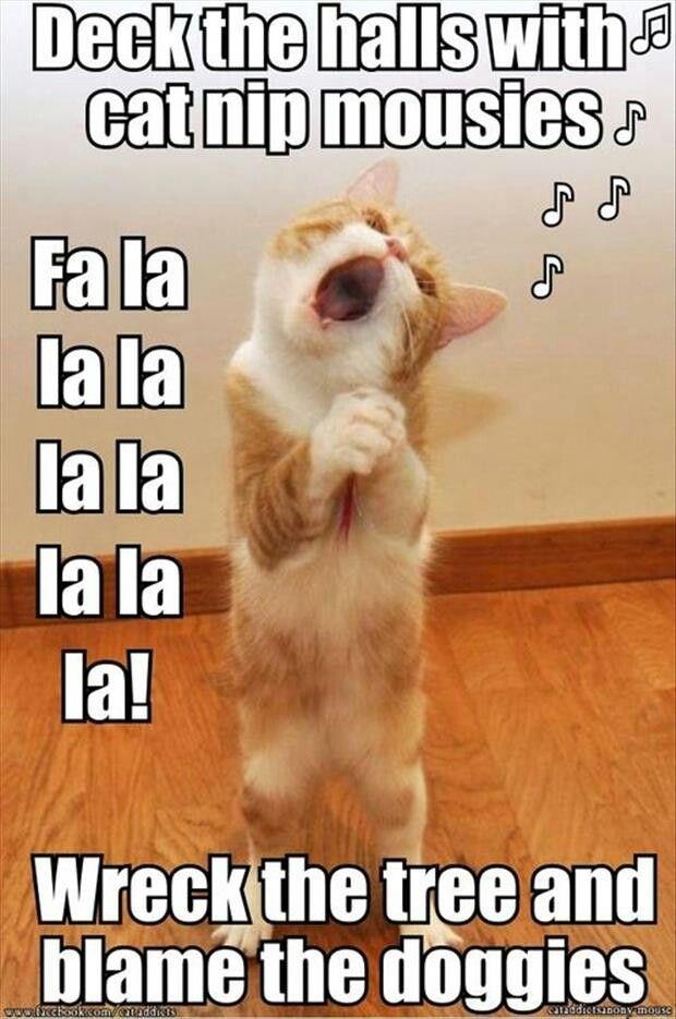 the cat singing christmas carols