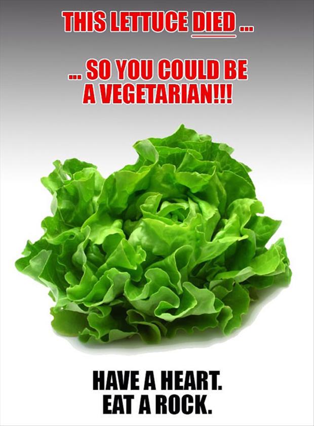 this lettuce died for you