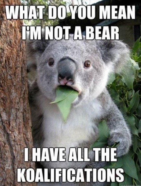 30 Funny Animal Puns