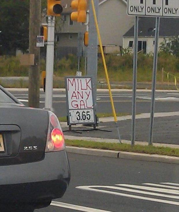 funny signs (2)