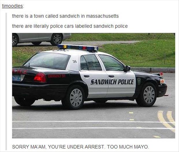 sandwich police