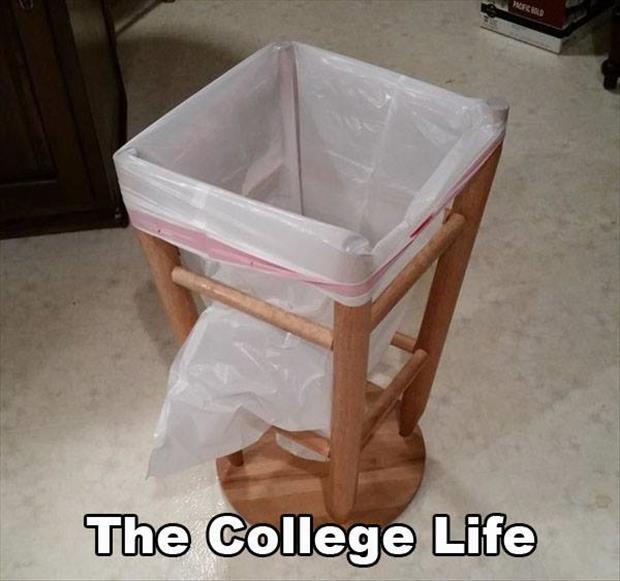 the college life