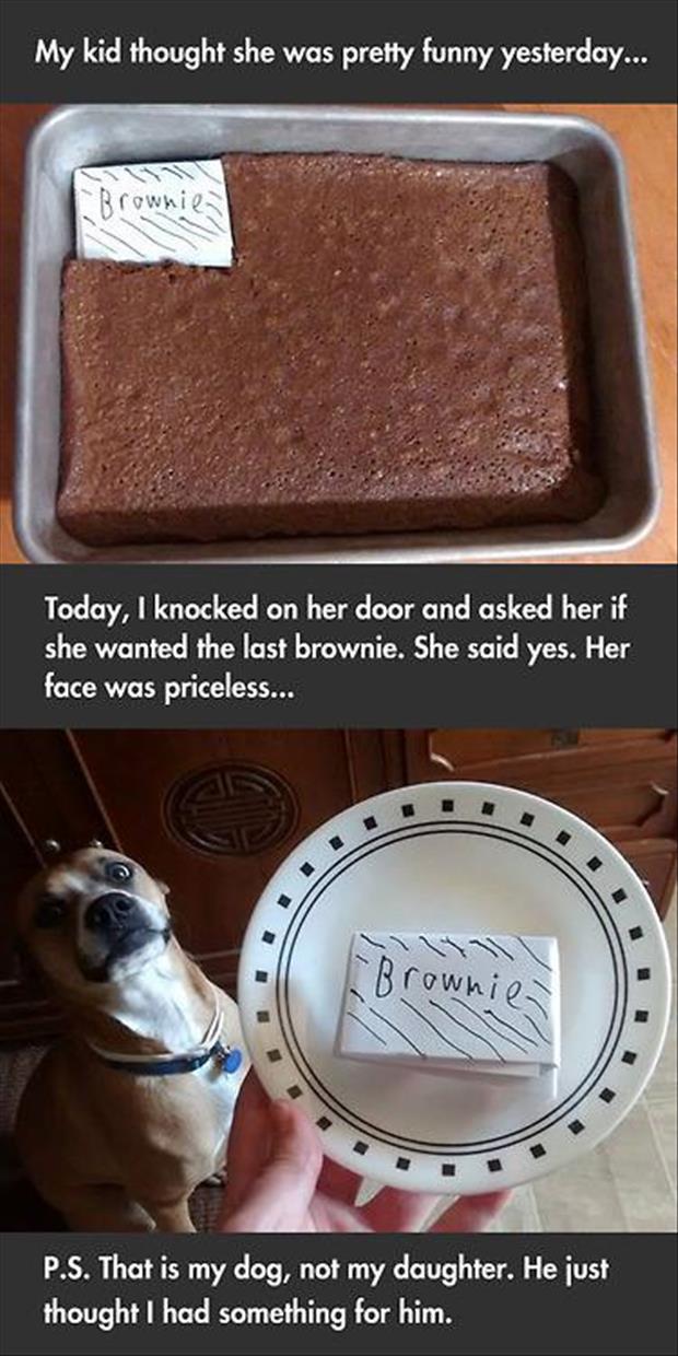 the last brownie