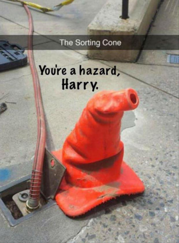 the sorting cone