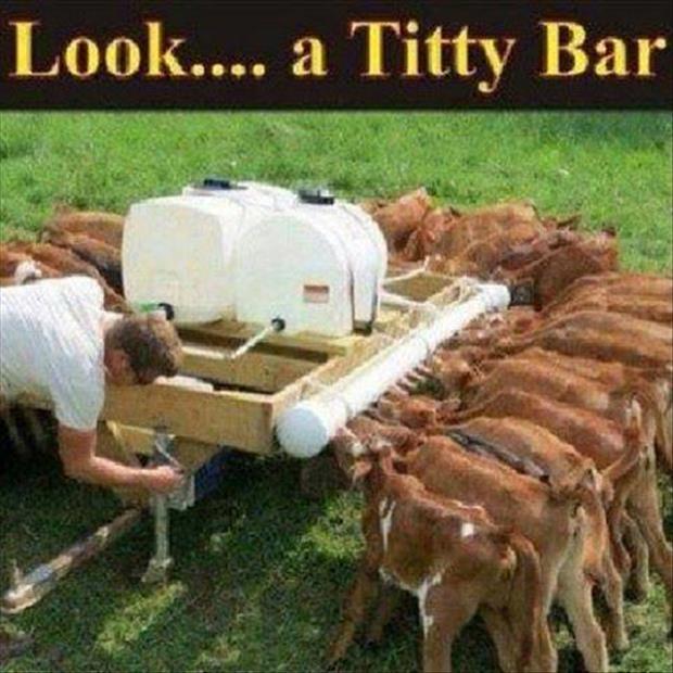 titty bar