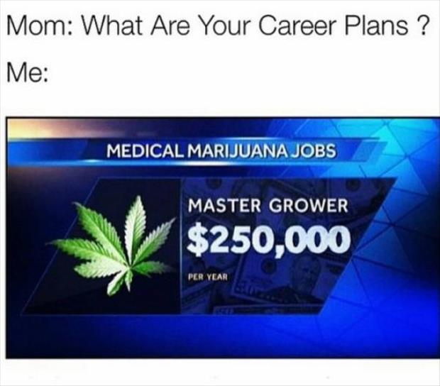 what are your career plans