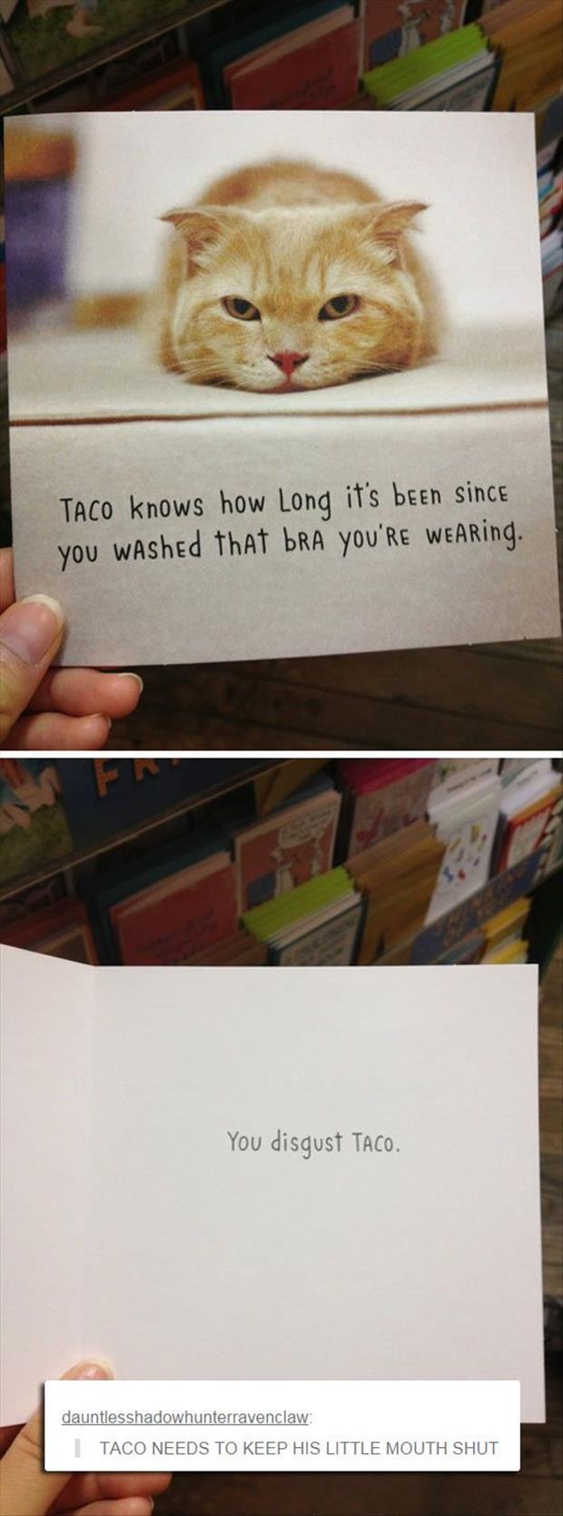 a taco needs to keep his mouth shut