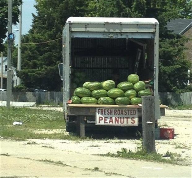 fresh roasted peanuts