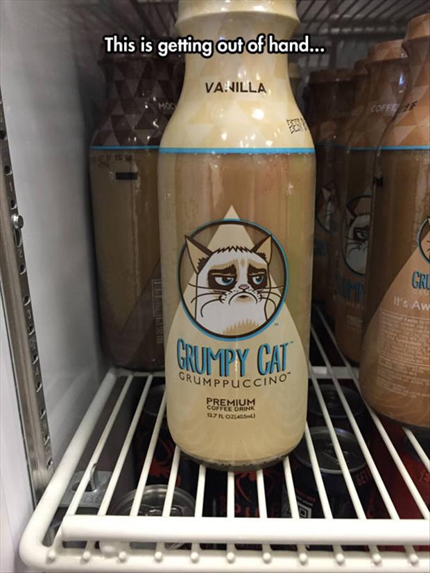 grumpy cat drinks