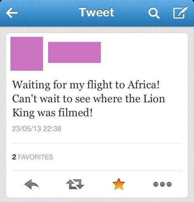 the lion king