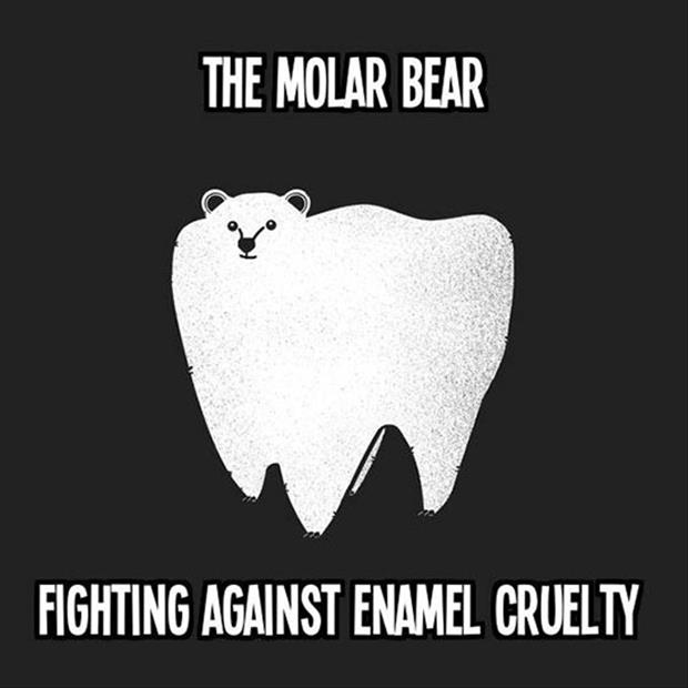 the molar bear