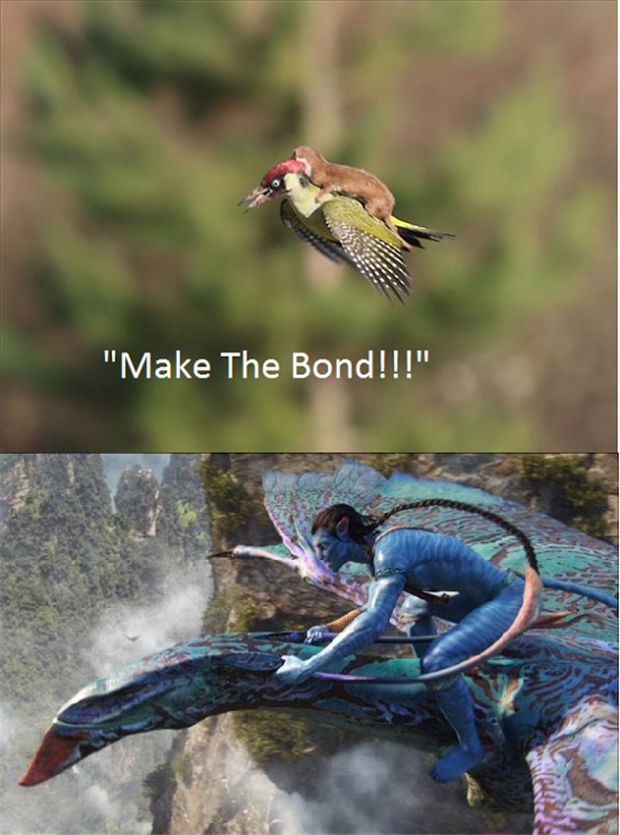 make the bond