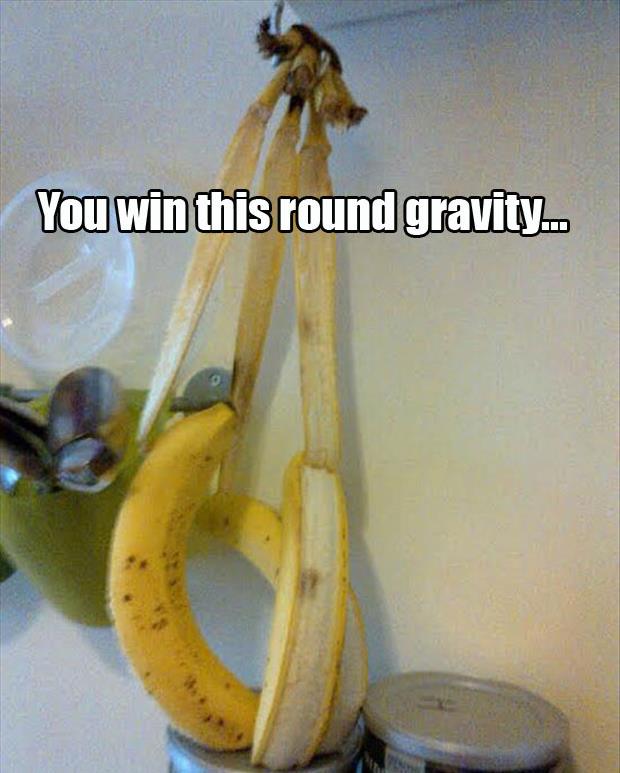 you win this round gravity