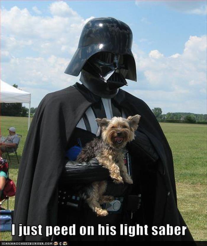 the dog peed on vader