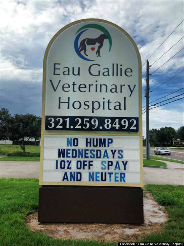 this-veterinarian-is-hilarious-6-pics