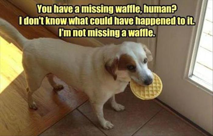 missing waffle