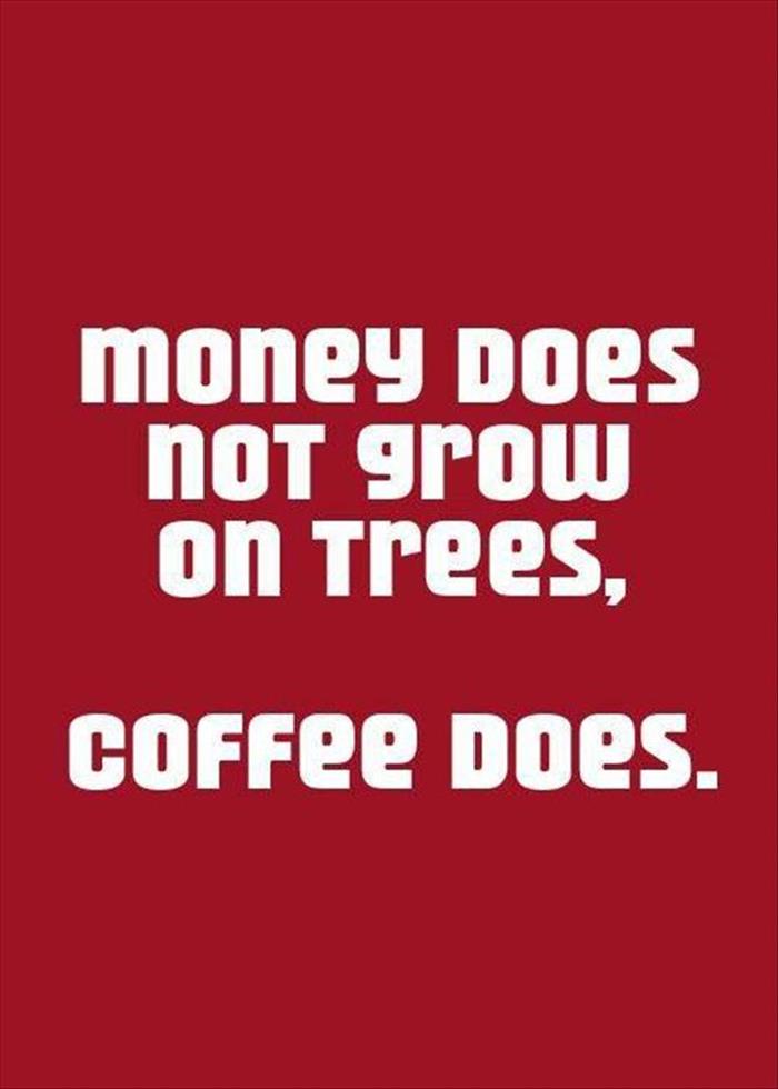 money does not grow on trees