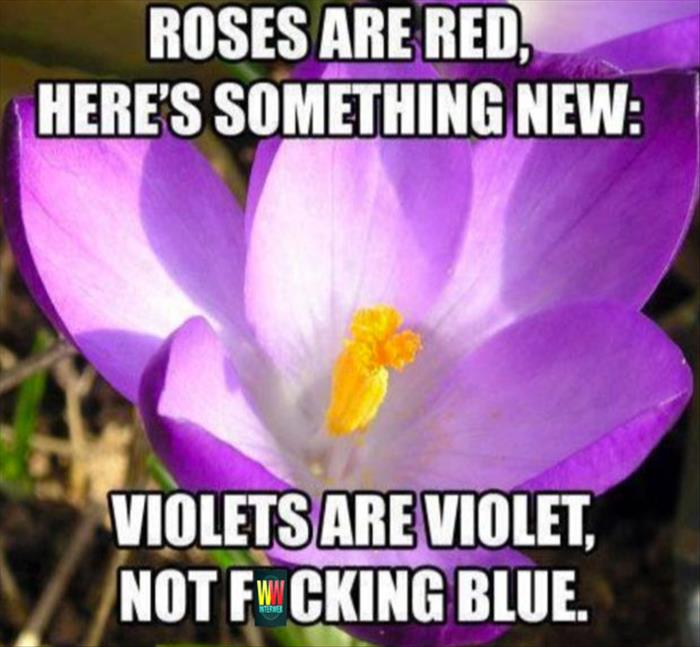 funny poetry (14)