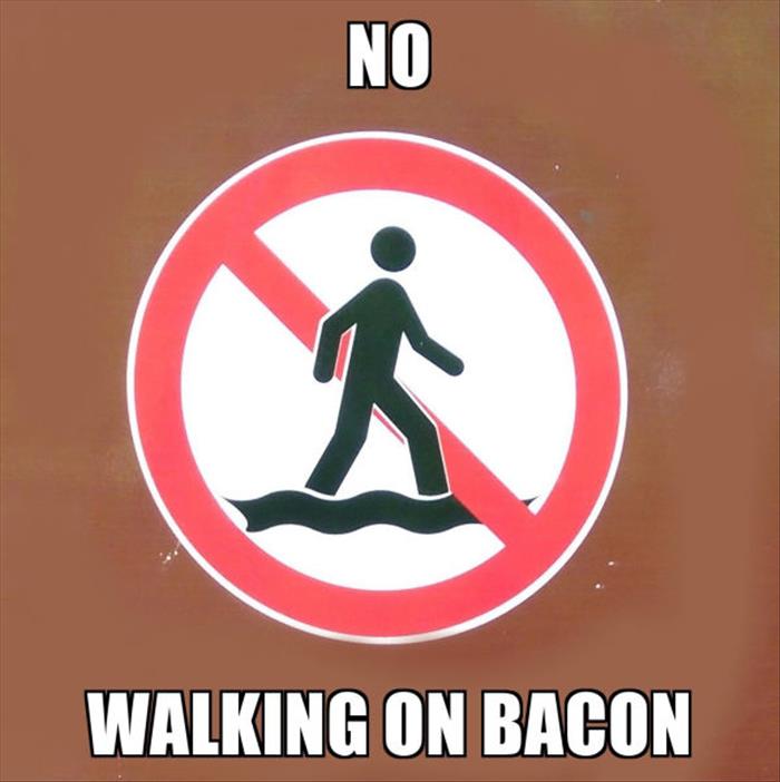 no walking on bacon