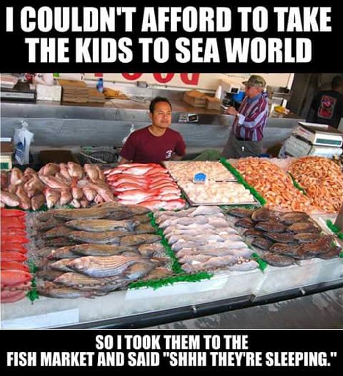 funny-fish-market.jpg