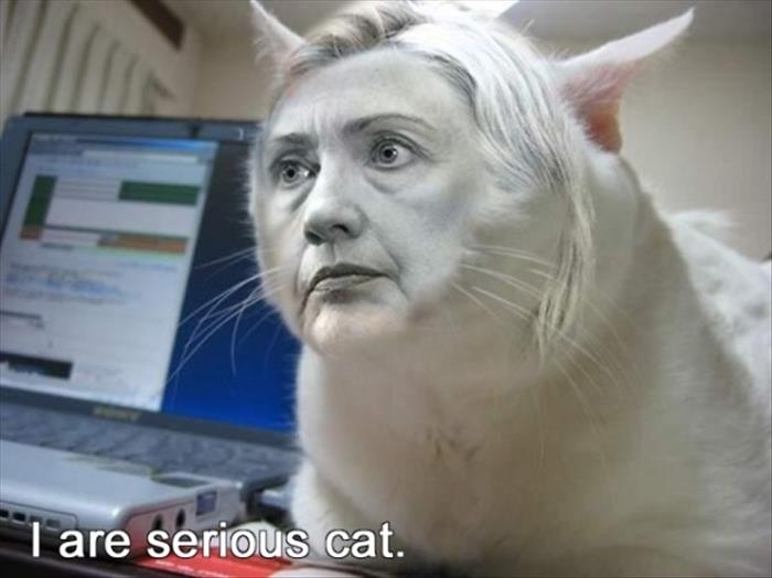 photoshop hillary clinton (10)